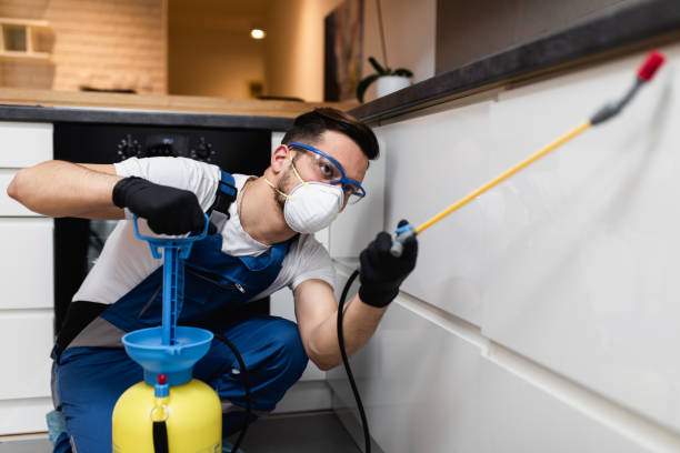 Best Best Pest Control Companies  in Sylvan Springs, AL