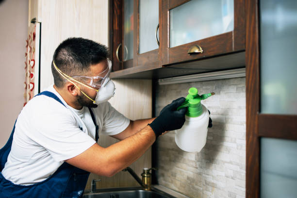 Best Bed Bug Extermination  in Sylvan Springs, AL