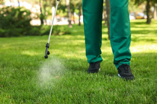 Best Residential Pest Control  in Sylvan Springs, AL