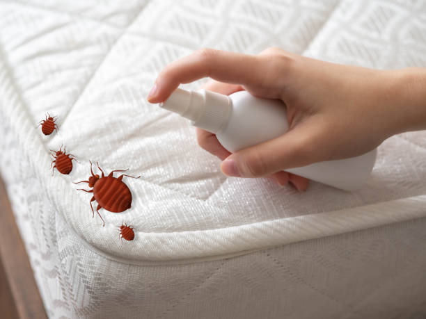 Best Best Pest Control Companies  in Sylvan Springs, AL