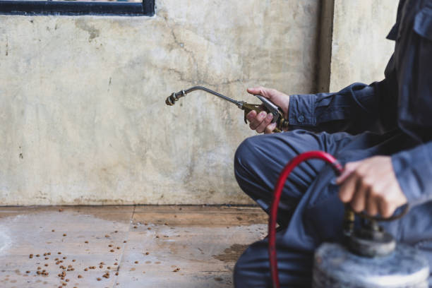 Professional Pest Control in Sylvan Springs, AL