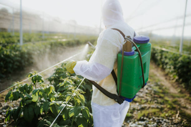 Best Exterminator Services  in Sylvan Springs, AL